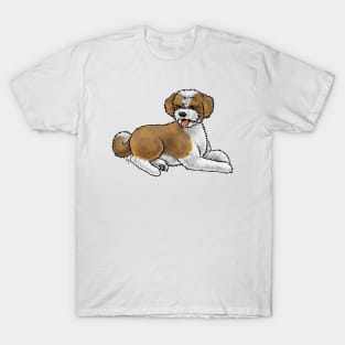 Dog - Aussiedoodle - Brown and White T-Shirt